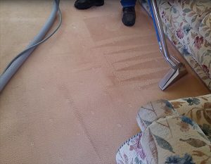 Maryland Carpet Cleaning Services